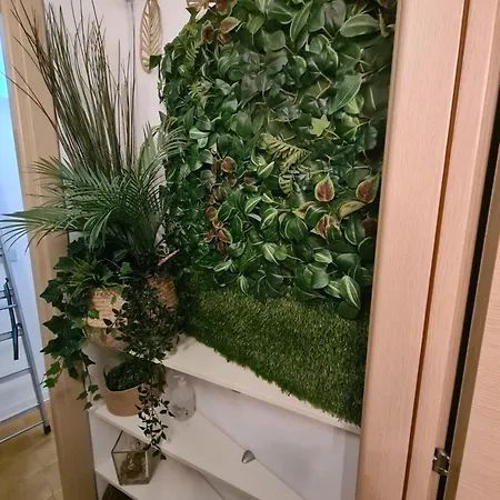 Terrazza Vicino Al Mare *